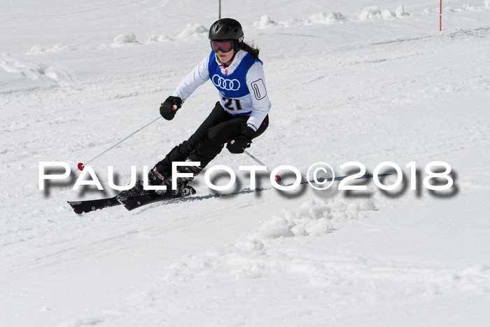 Ski Golf Masters 2018, Riesenslalom