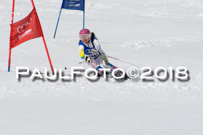 Ski Golf Masters 2018, Riesenslalom