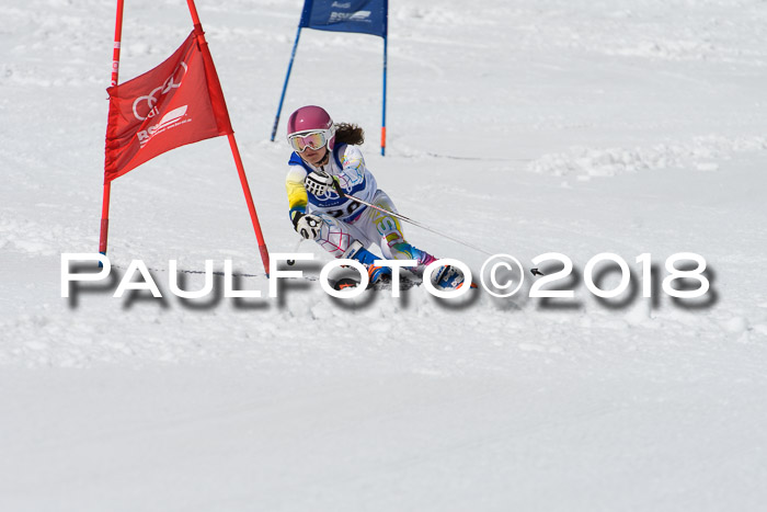 Ski Golf Masters 2018, Riesenslalom