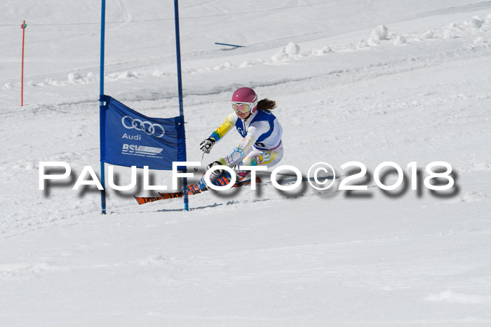 Ski Golf Masters 2018, Riesenslalom