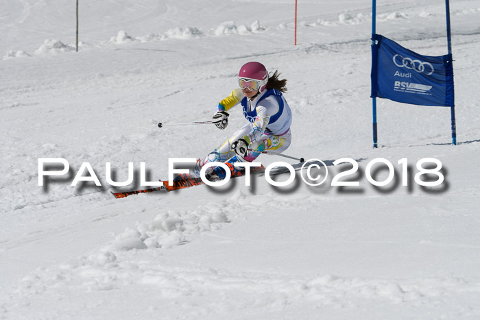 Ski Golf Masters 2018, Riesenslalom