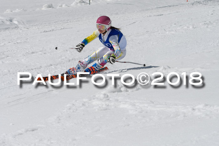 Ski Golf Masters 2018, Riesenslalom