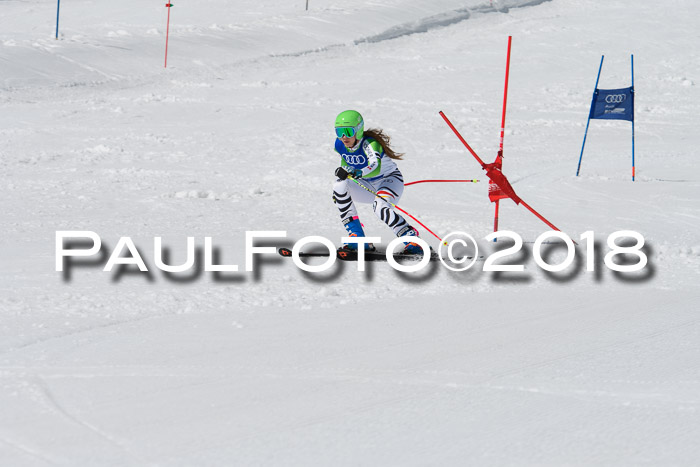 Ski Golf Masters 2018, Riesenslalom