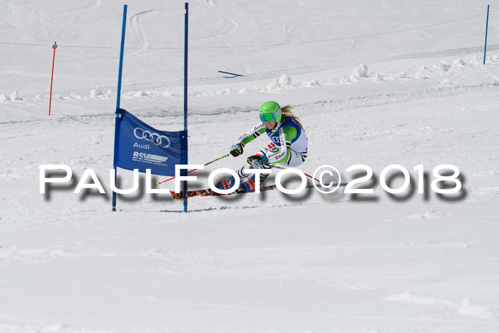 Ski Golf Masters 2018, Riesenslalom