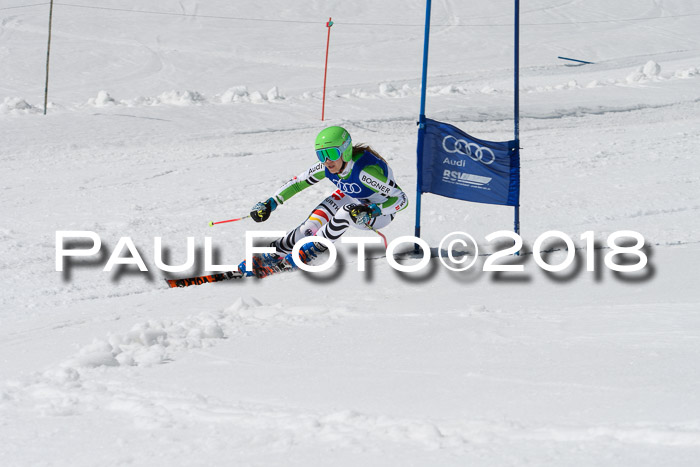 Ski Golf Masters 2018, Riesenslalom