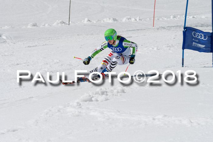 Ski Golf Masters 2018, Riesenslalom