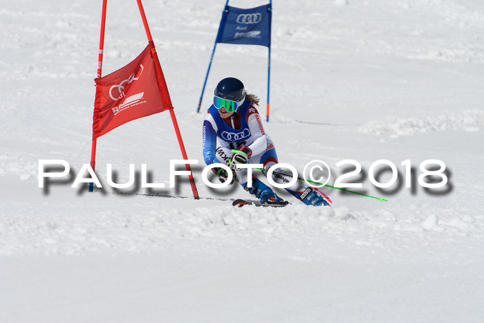 Ski Golf Masters 2018, Riesenslalom