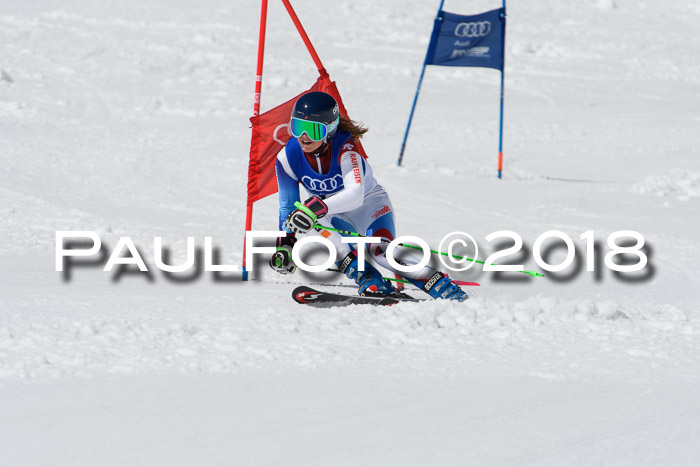 Ski Golf Masters 2018, Riesenslalom