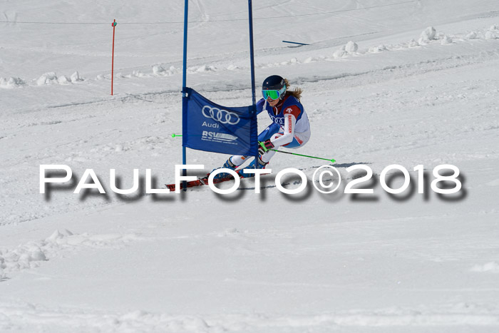 Ski Golf Masters 2018, Riesenslalom