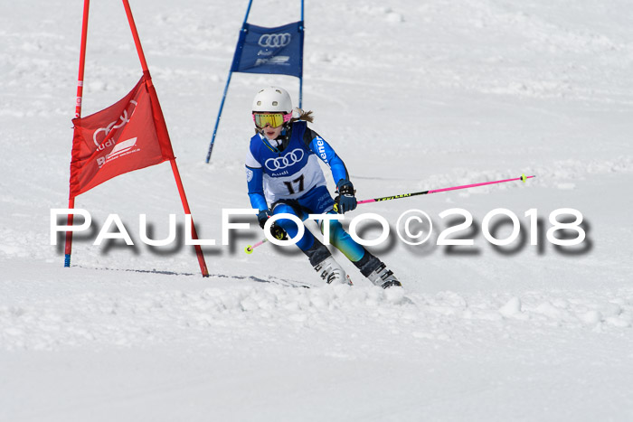 Ski Golf Masters 2018, Riesenslalom