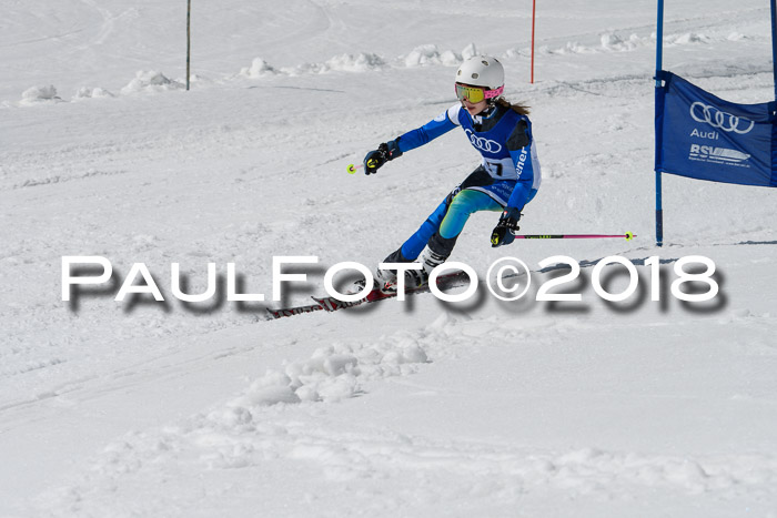 Ski Golf Masters 2018, Riesenslalom