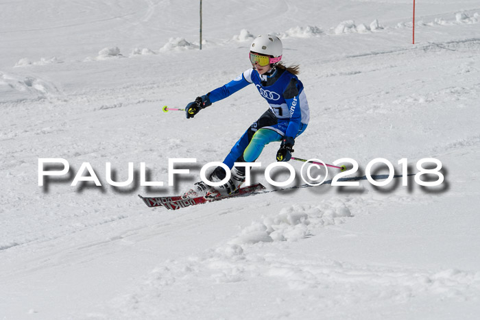 Ski Golf Masters 2018, Riesenslalom