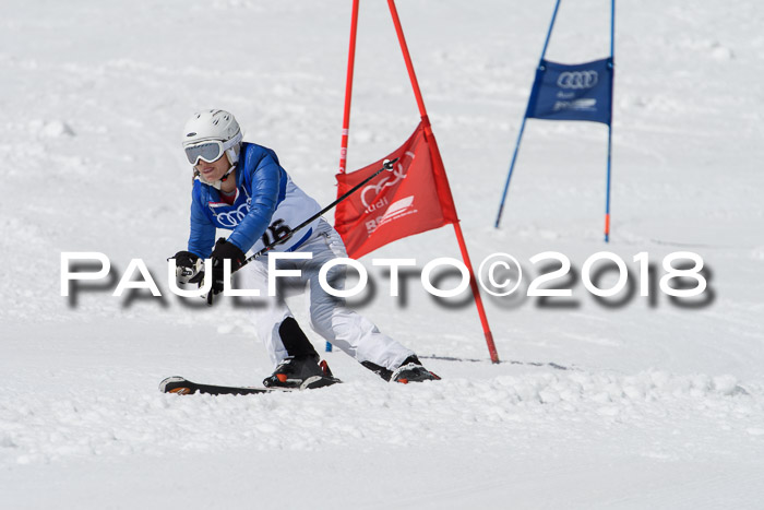 Ski Golf Masters 2018, Riesenslalom