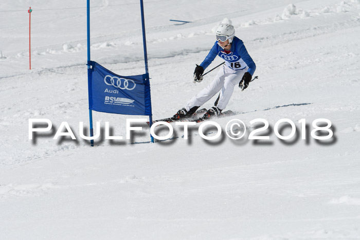 Ski Golf Masters 2018, Riesenslalom