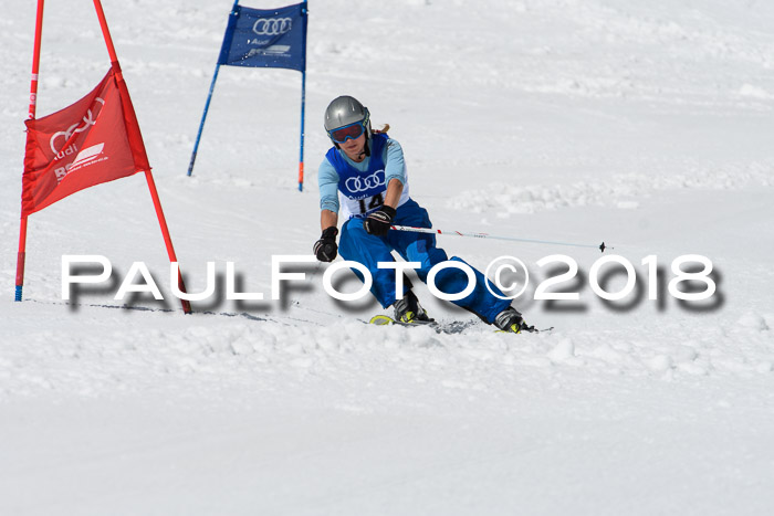 Ski Golf Masters 2018, Riesenslalom