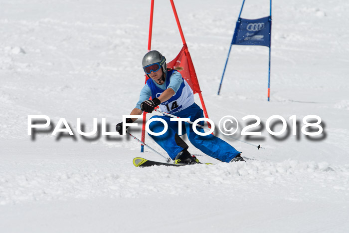 Ski Golf Masters 2018, Riesenslalom