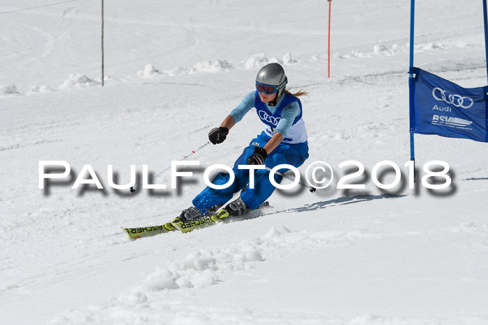 Ski Golf Masters 2018, Riesenslalom