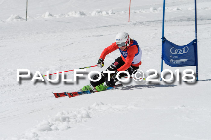 Ski Golf Masters 2018, Riesenslalom