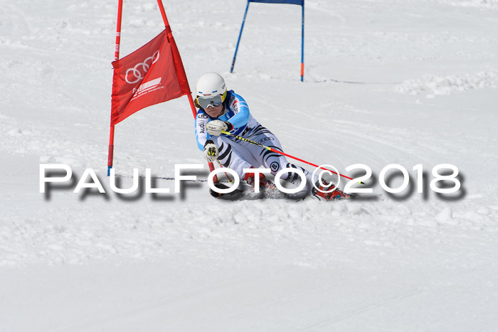 Ski Golf Masters 2018, Riesenslalom