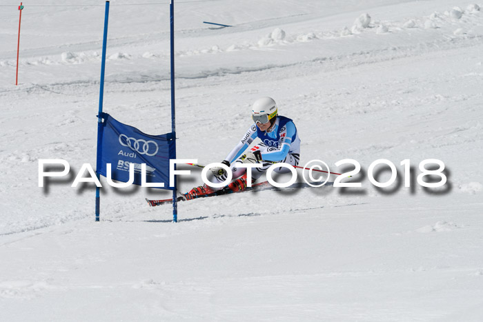 Ski Golf Masters 2018, Riesenslalom