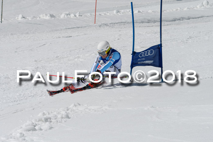 Ski Golf Masters 2018, Riesenslalom