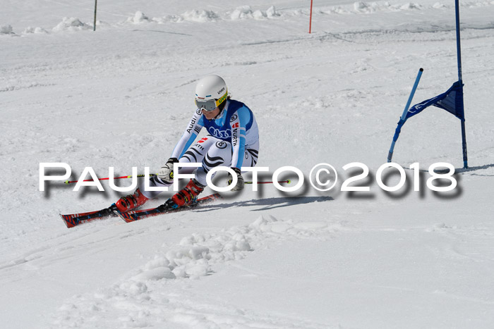 Ski Golf Masters 2018, Riesenslalom