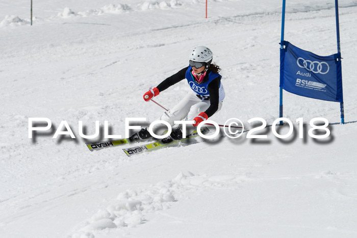 Ski Golf Masters 2018, Riesenslalom