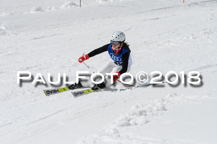 Ski Golf Masters 2018, Riesenslalom