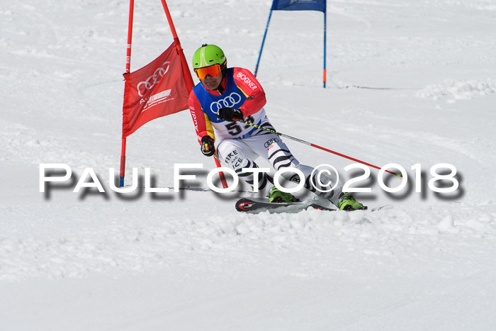 Ski Golf Masters 2018, Riesenslalom