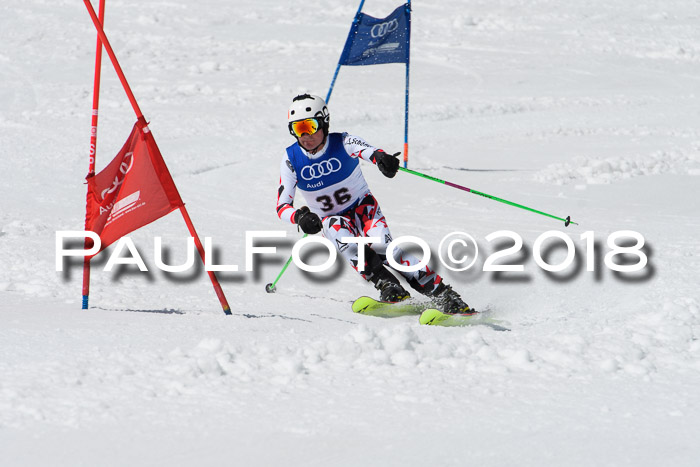 Ski Golf Masters 2018, Riesenslalom