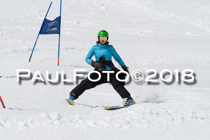 Ski Golf Masters 2018, Riesenslalom