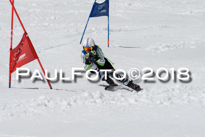 Ski Golf Masters 2018, Riesenslalom