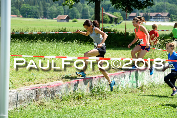 Baira Cross Lauf, 1. Sommercup SGW