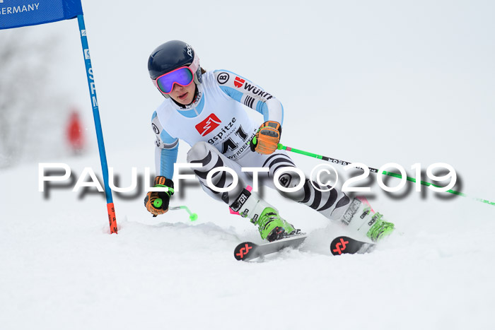 Werdenfelser Kinderskitag. mit Ziener und BZB Cup 2019