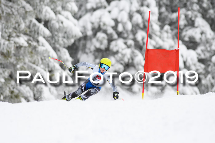 Werdenfelser Kinderskitag. mit Ziener und BZB Cup 2019