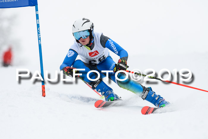 Werdenfelser Kinderskitag. mit Ziener und BZB Cup 2019