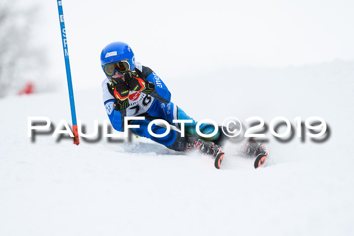 Werdenfelser Kinderskitag. mit Ziener und BZB Cup 2019