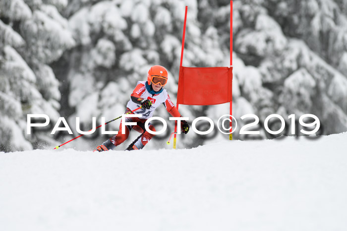 Werdenfelser Kinderskitag. mit Ziener und BZB Cup 2019