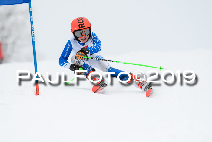 Werdenfelser Kinderskitag. mit Ziener und BZB Cup 2019