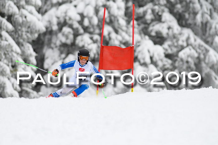 Werdenfelser Kinderskitag. mit Ziener und BZB Cup 2019