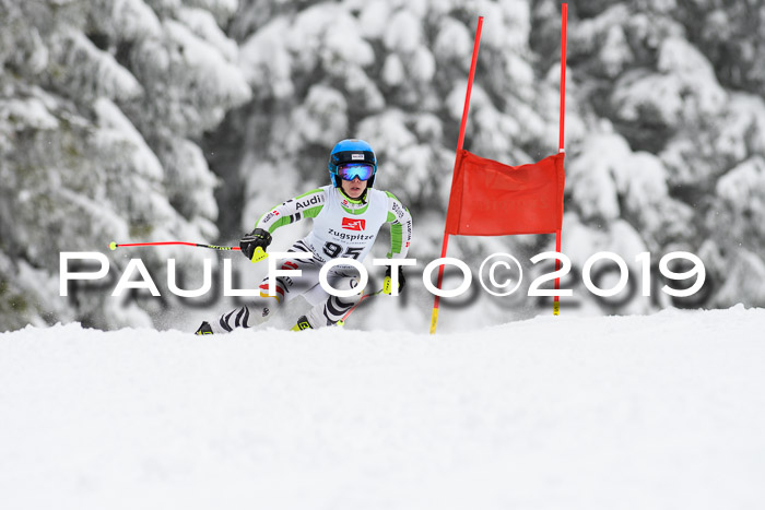 Werdenfelser Kinderskitag. mit Ziener und BZB Cup 2019