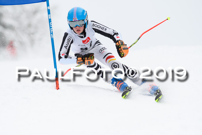 Werdenfelser Kinderskitag. mit Ziener und BZB Cup 2019