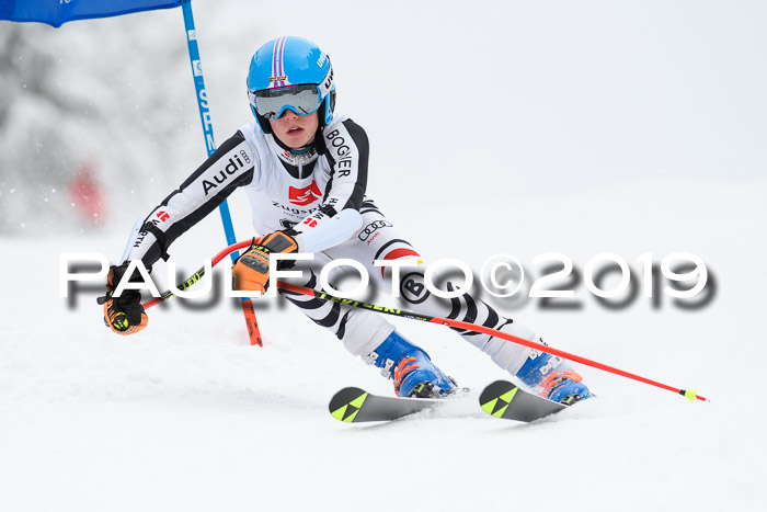 Werdenfelser Kinderskitag. mit Ziener und BZB Cup 2019