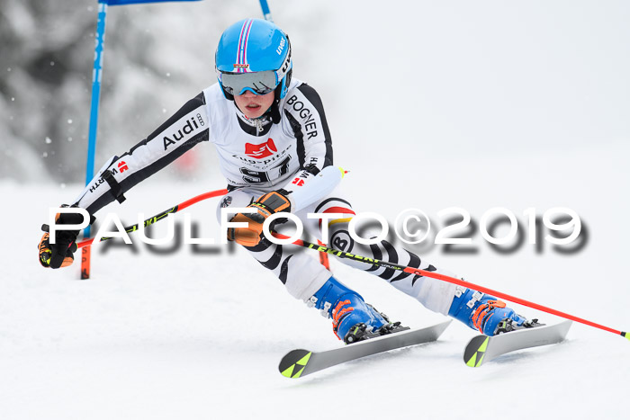 Werdenfelser Kinderskitag. mit Ziener und BZB Cup 2019