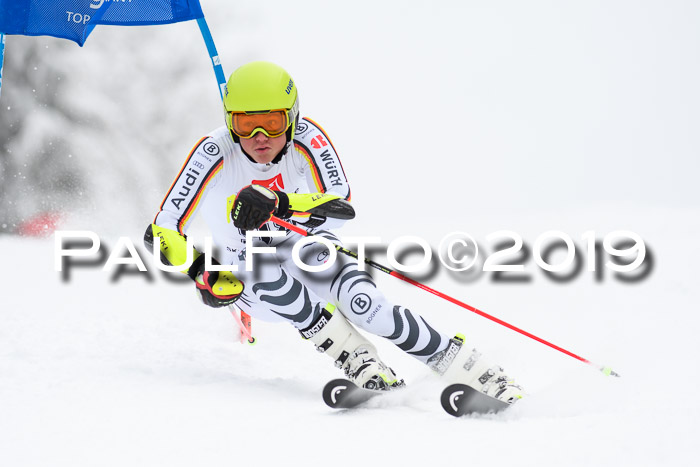 Werdenfelser Kinderskitag. mit Ziener und BZB Cup 2019