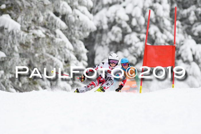 Werdenfelser Kinderskitag. mit Ziener und BZB Cup 2019