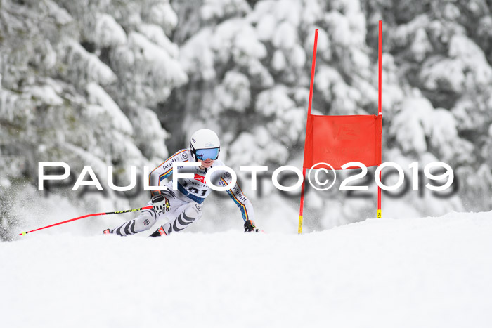 Werdenfelser Kinderskitag. mit Ziener und BZB Cup 2019