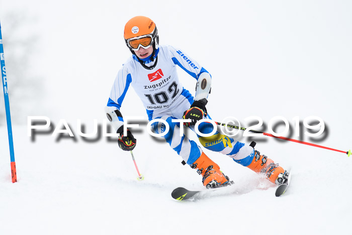 Werdenfelser Kinderskitag. mit Ziener und BZB Cup 2019