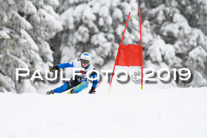 Werdenfelser Kinderskitag. mit Ziener und BZB Cup 2019