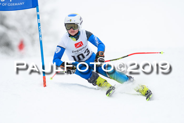 Werdenfelser Kinderskitag. mit Ziener und BZB Cup 2019